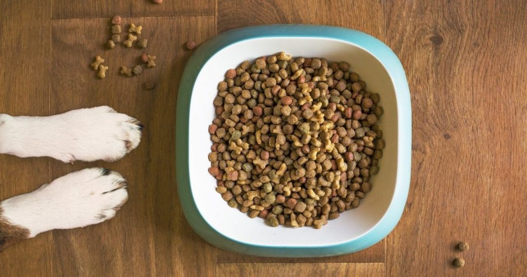 How Is Pet Food Made? I Cannonball Express Transportation, LLC
