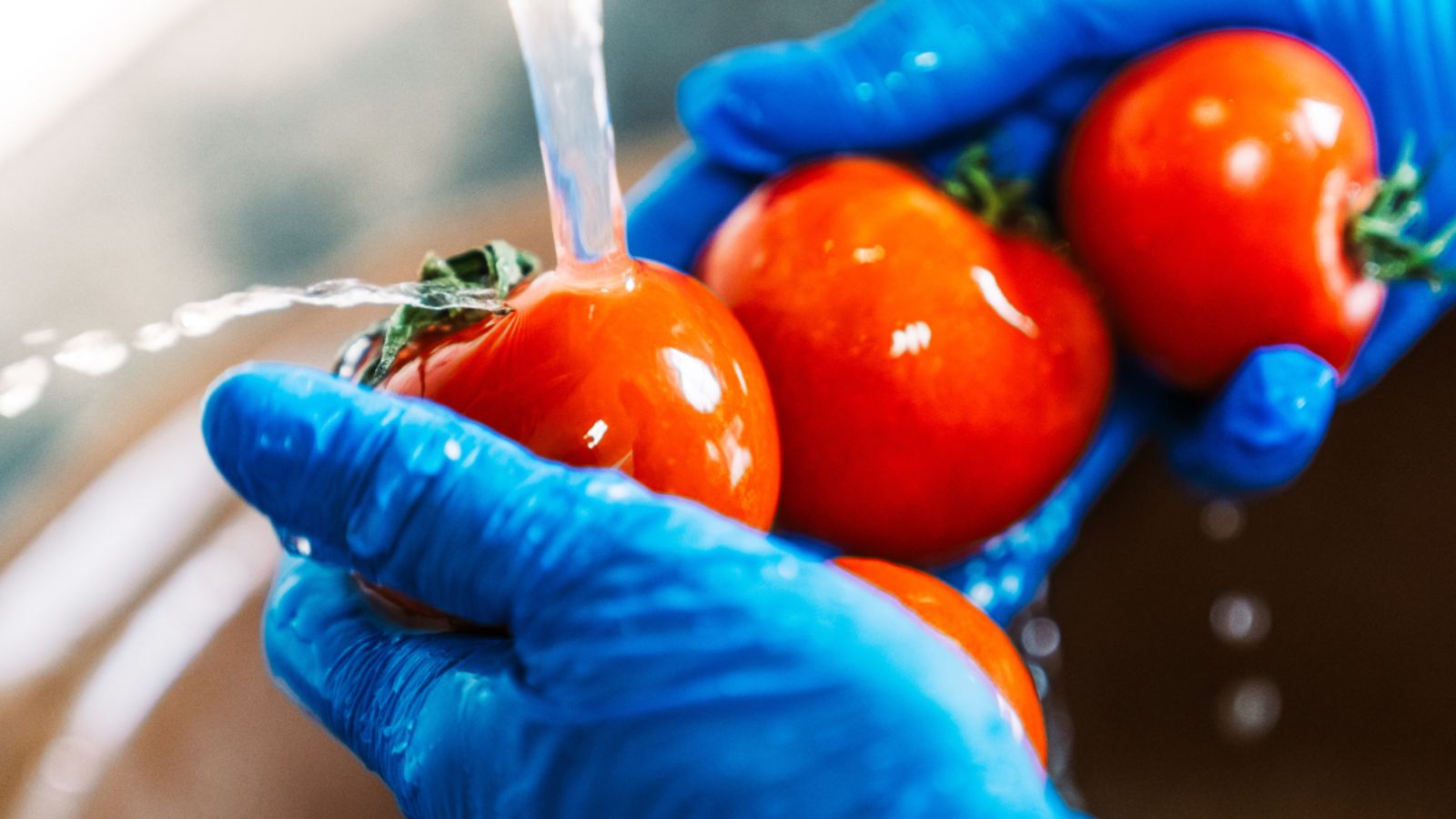 How Food Safety Regulations Influence Route Planning for Refrigerated Carriers